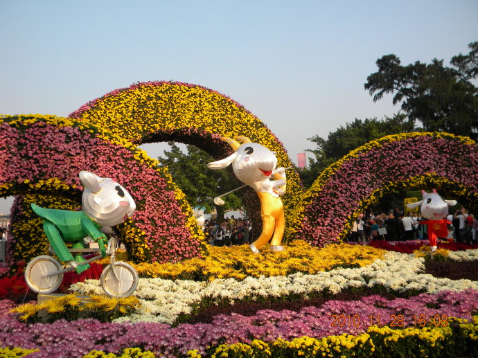 菊花争艳!菊情菊景! 菊花争艳!菊情菊景!