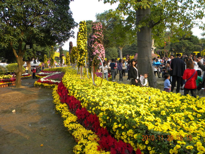 菊花争艳!菊情菊景! 菊花争艳!菊情菊景!