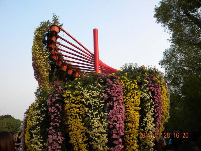 菊花争艳!菊情菊景! 菊花争艳!菊情菊景!