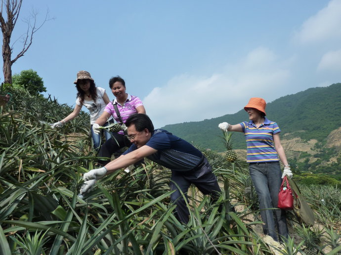 ʮ�ܡ����塪����