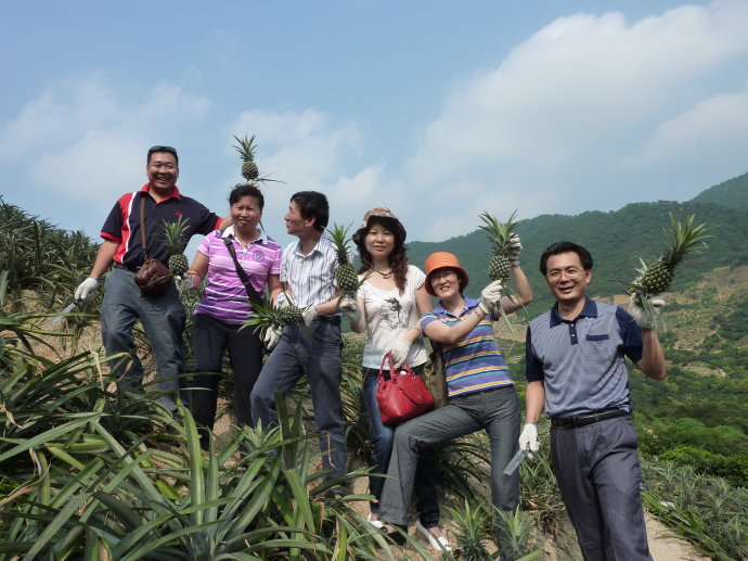十杰—神湾—菠萝 十杰—神湾—菠萝