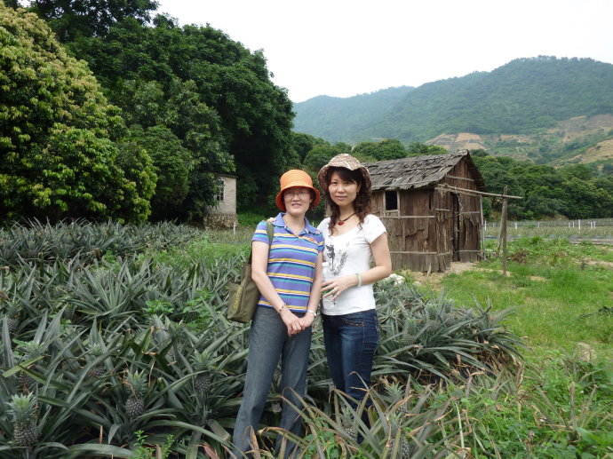 十杰—神湾—菠萝 十杰—神湾—菠萝
