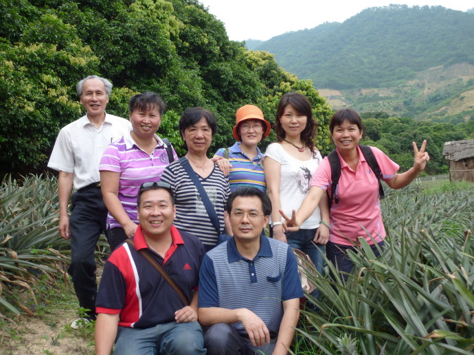 十杰—神湾—菠萝 十杰—神湾—菠萝